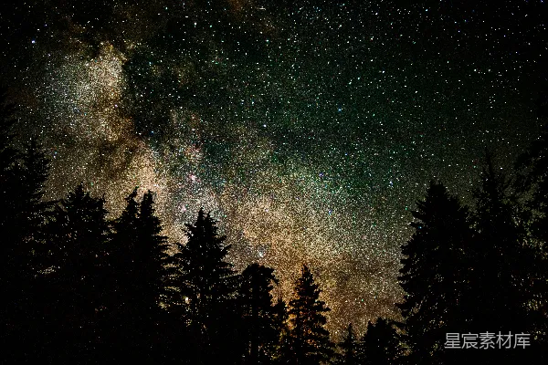 高清摄影 银河与松林的夜景