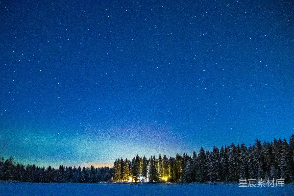 高清摄影 冬夜星河下的雪林