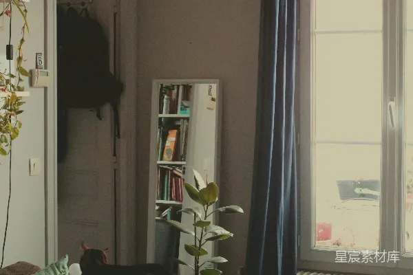 高清摄影 温馨小屋：阳光与猫咪的静谧时光