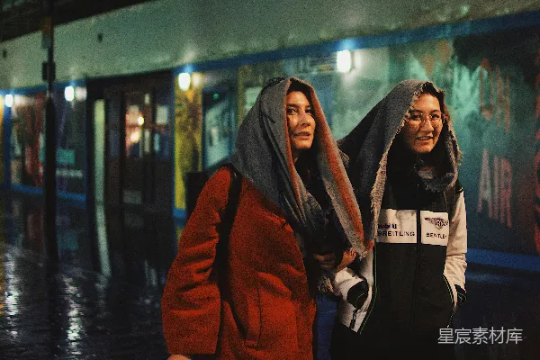 高清摄影 夜色下的温暖同伴