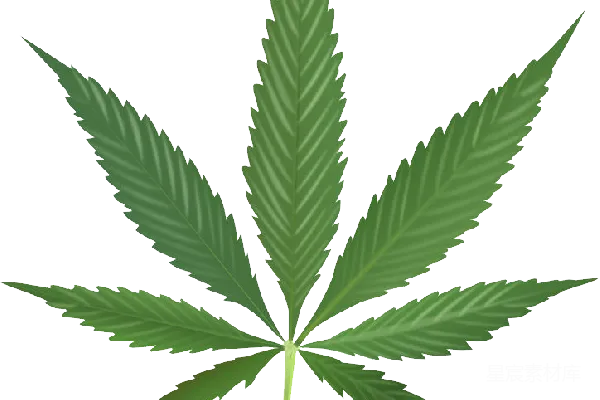 元素素材 大麻
