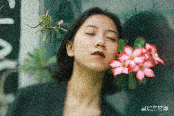 高清摄影 窗前的花香