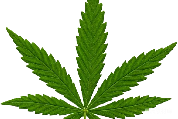 元素素材 大麻