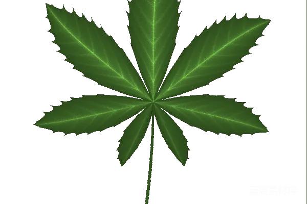 元素素材 大麻