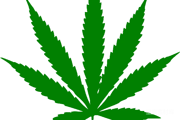 元素素材 大麻
