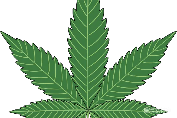 元素素材 大麻