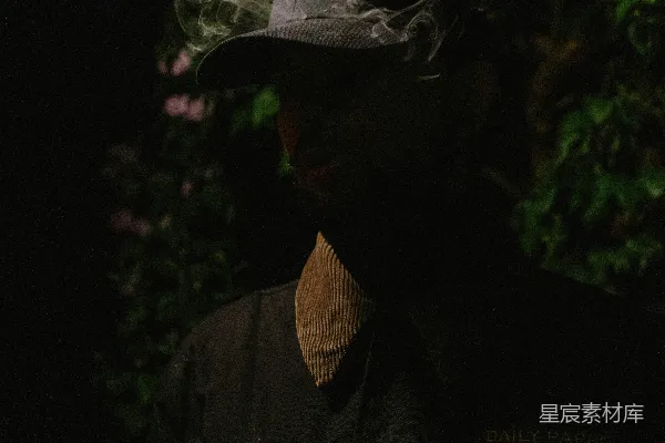 高清摄影 烟雾缭绕的神秘花丛
