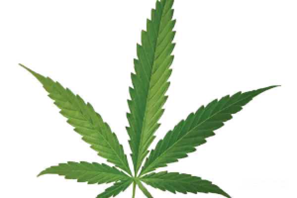 元素素材 大麻