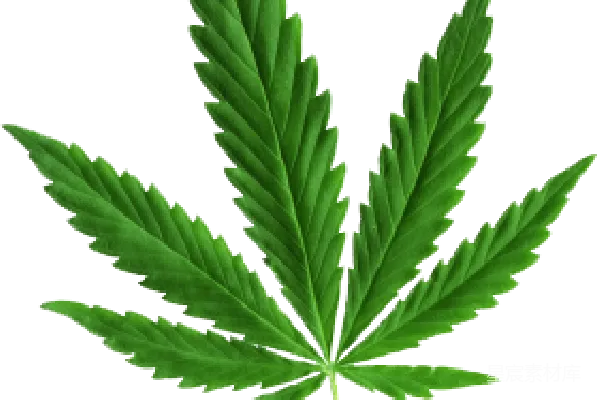 元素素材 大麻