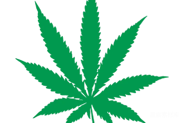 元素素材 大麻