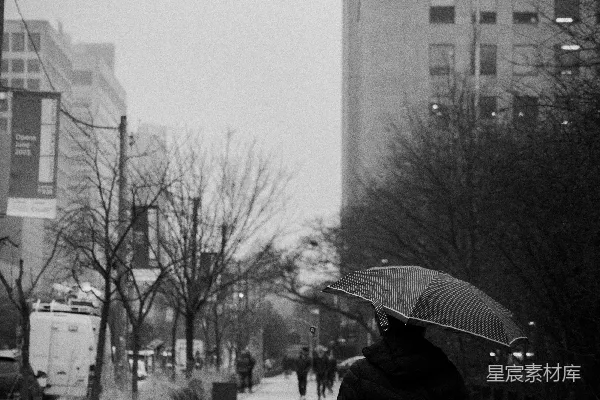 高清摄影 雨中的城市漫步