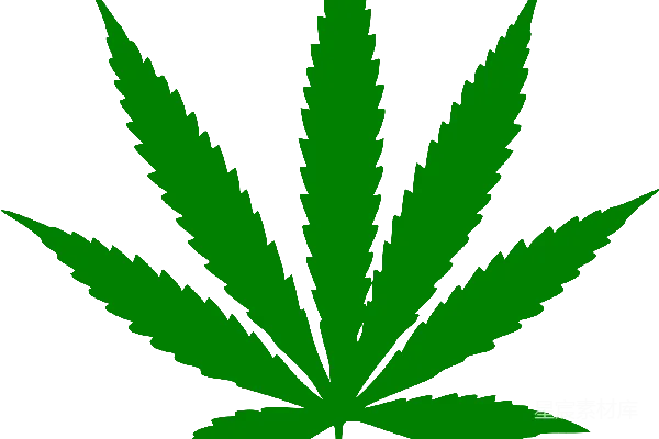 元素素材 大麻