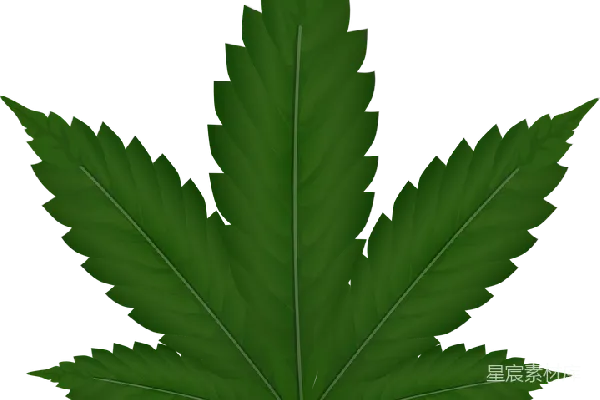 元素素材 大麻