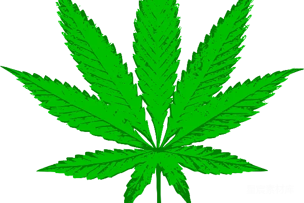 元素素材 大麻
