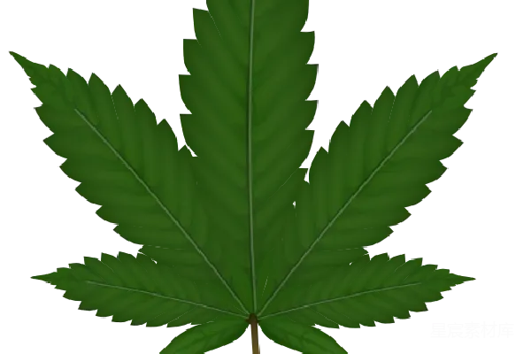元素素材 大麻