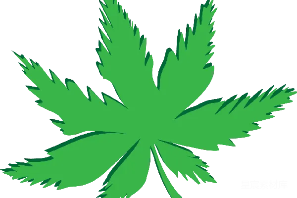 元素素材 大麻