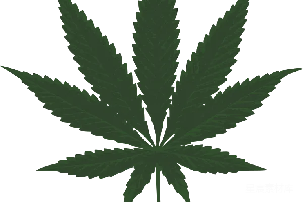 元素素材 大麻