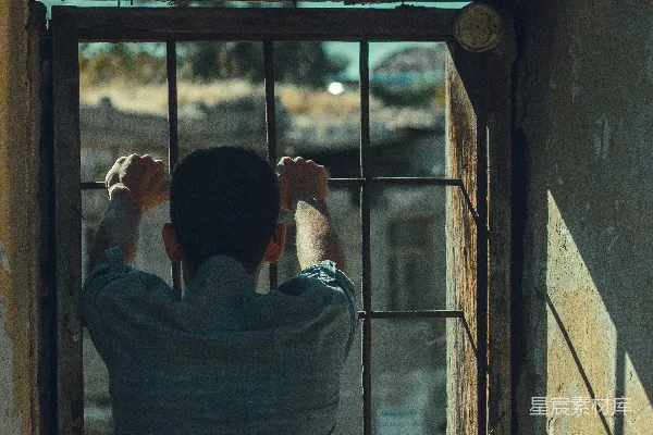 高清摄影 窗外的观望