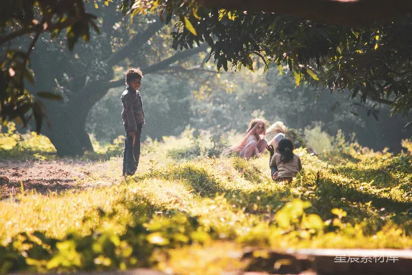 高清摄影 乡间晨曦下的儿童