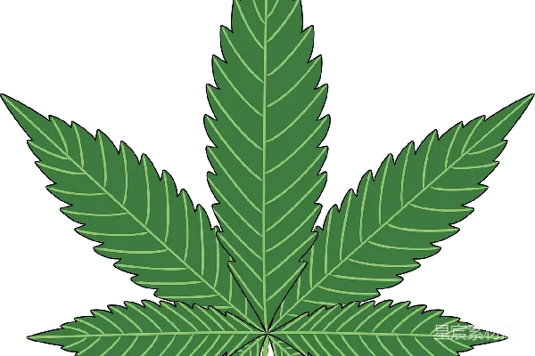 元素素材 大麻