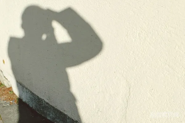 高清摄影 墙上的剪影：人与猫的互动