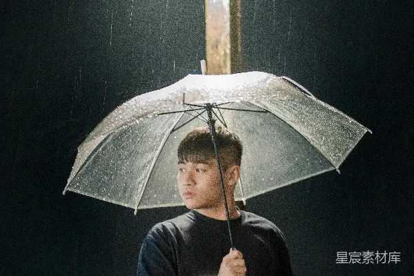 高清摄影 雨中守护