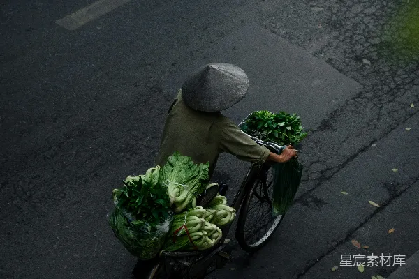 高清摄影 越南街头的自行车蔬菜贩