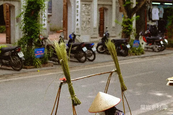 高清摄影 越南街头的卖菜妇人