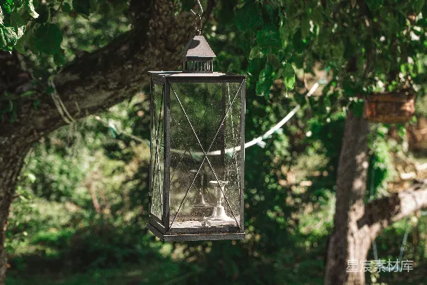 高清摄影 树下悬挂的复古灯笼