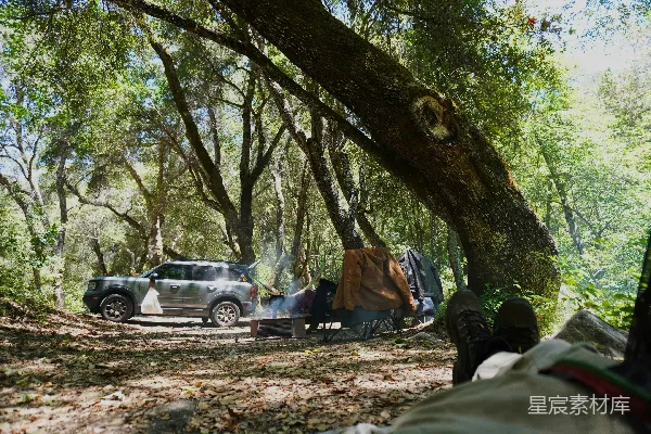 高清摄影 森林中的野营时光