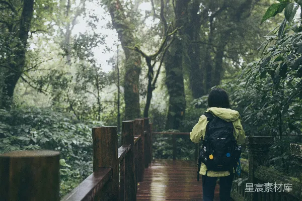 高清摄影 雨林深处的徒步之旅