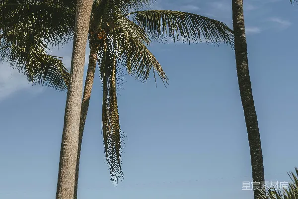 高清摄影 热带风情的海滨小屋