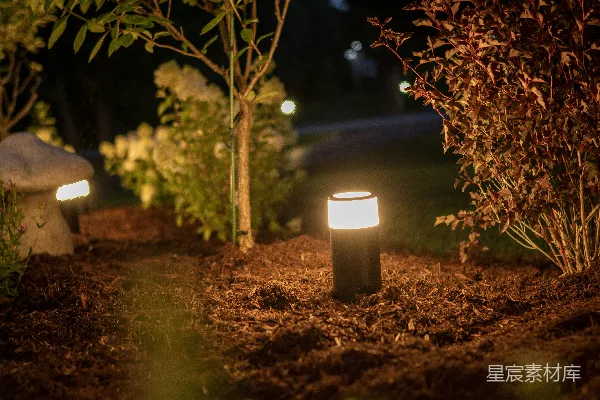 高清摄影 夜色中的花园小径