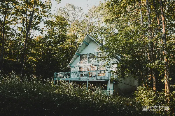 高清摄影 森林中的小屋
