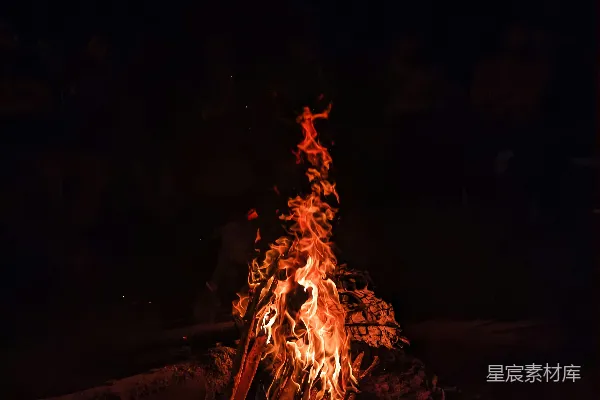 高清摄影 夜幕下的篝火