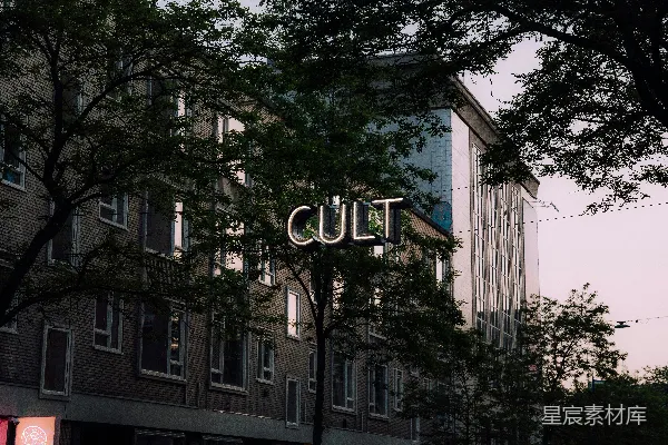 高清摄影 城市中的霓虹艺术：CULT标志