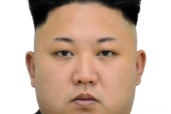 元素素材 金