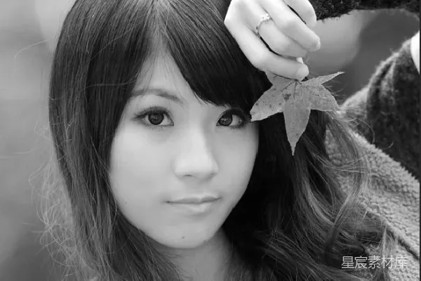 元素素材 秋日的静谧时光