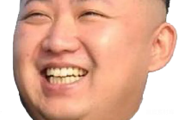 元素素材 金