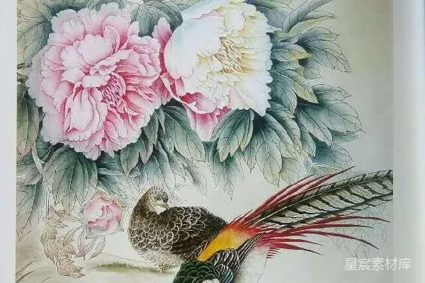 元素素材 工笔牡丹与锦鸡