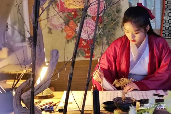 元素素材 古典书房中的女子