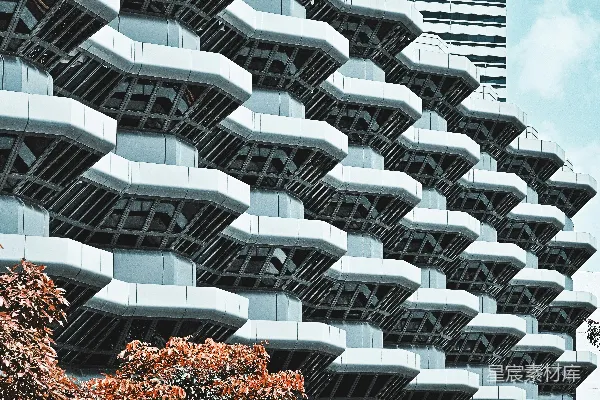 高清摄影 未来感建筑与秋叶的对比