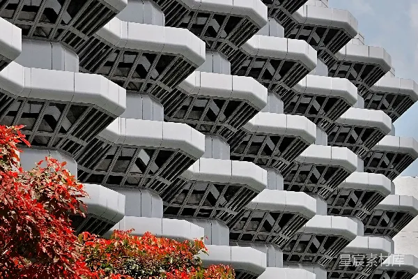 高清摄影 现代建筑与秋色交相辉映