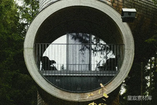 高清摄影 森林中的独特圆形建筑