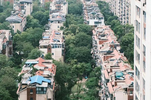 高清摄影 城市中的绿洲