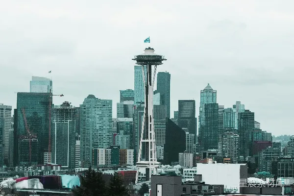 高清摄影 Seattle Skyline from Above