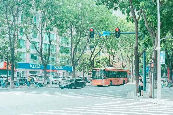 高清摄影 城市绿意盎然的街道场景