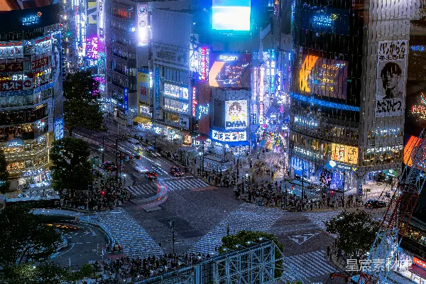 高清摄影 东京涩谷夜晚霓虹灯海
