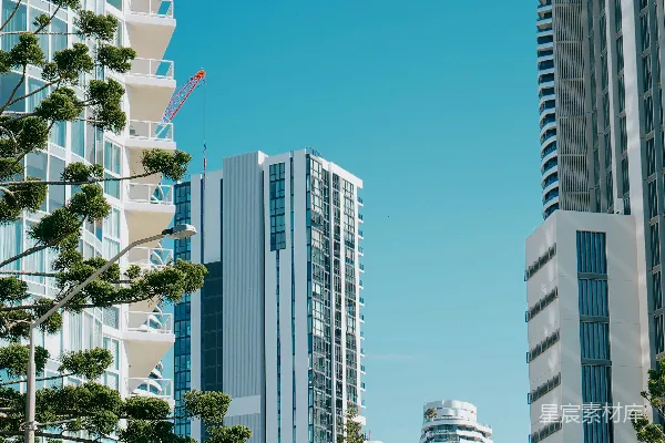 高清摄影 热带城市天际线