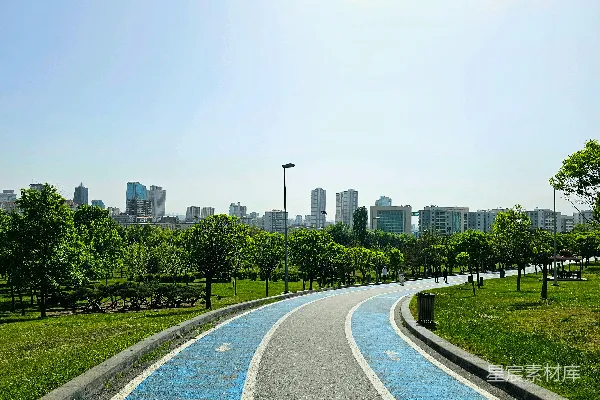 高清摄影 城市中的绿色自行车道
